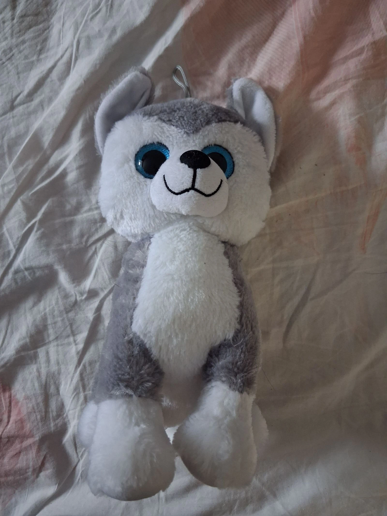 Peluche husky